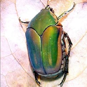 Meet your Posher, Erin